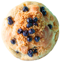 Blueberry Muffin