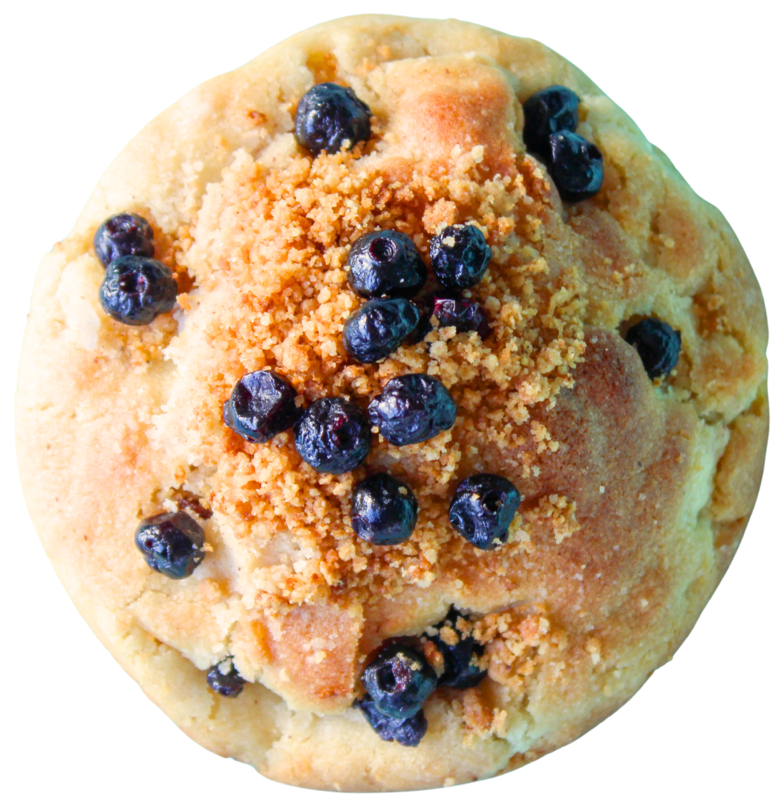 Blueberry Muffin
