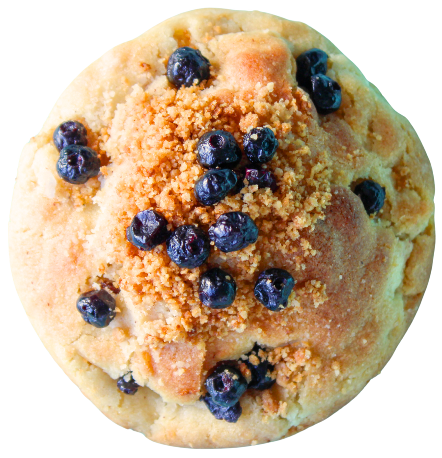 Blueberry Muffin