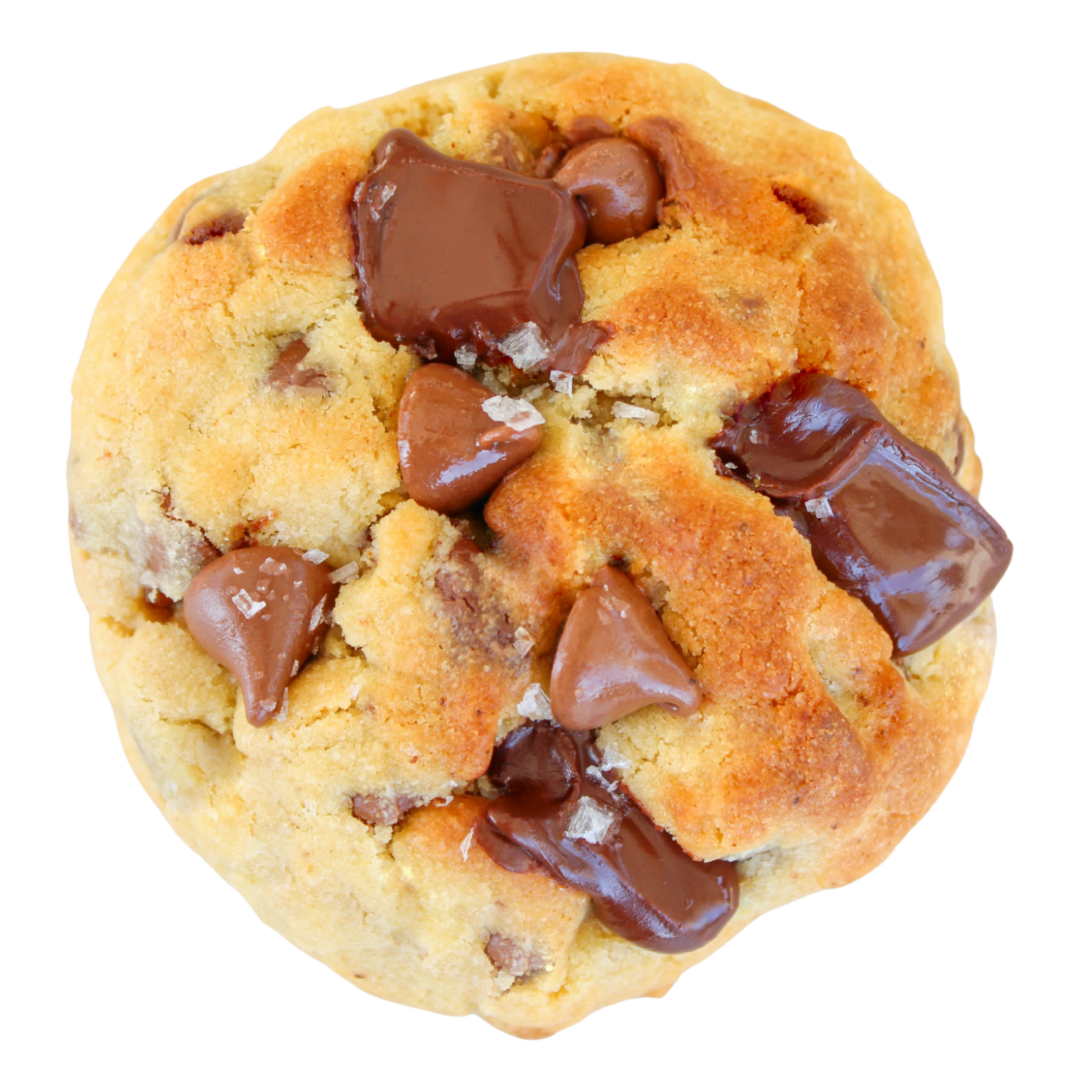 Chocolate Chunk